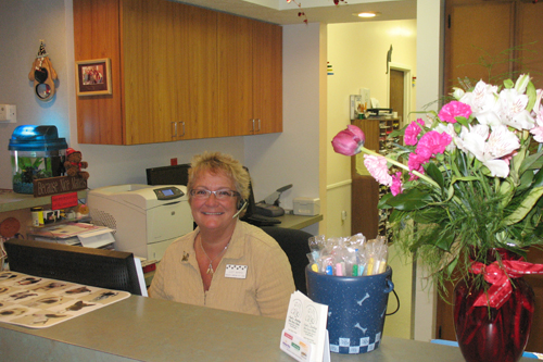 Noah's Landing reception area