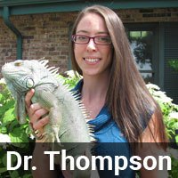 Dr. Thompson