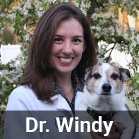 Dr. Windy