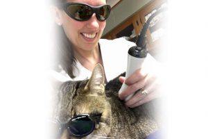 Vet Examining cat