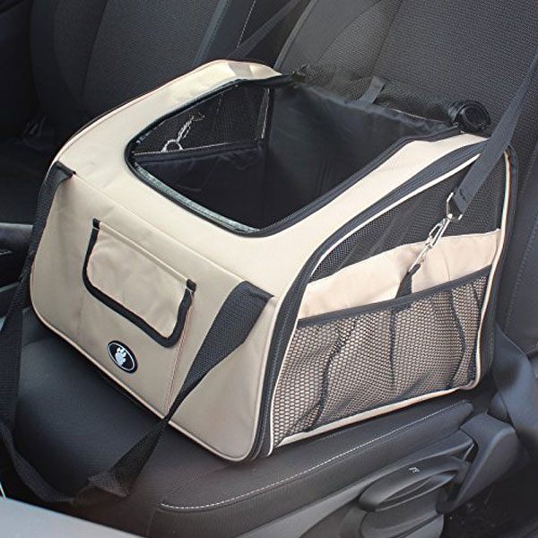 bag in the car