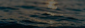 Waves in ocean