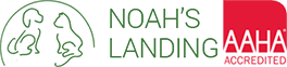 Vet in Elkhart | Noah’s Landing Logo