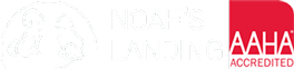 Vet in Elkhart | Noah’s Landing Logo